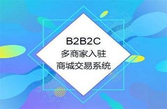 远丰电商|b2b2c商城系统是什么?有真正了解过么?远丰-全案数字新商业