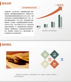 电商b2c 共享租衣 新零售电商模式 衣二三 b2c 女神派