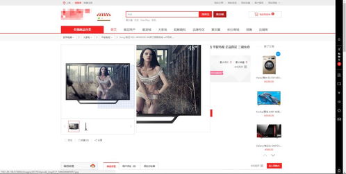 b2b2c新零售多租户电商系统研习指南